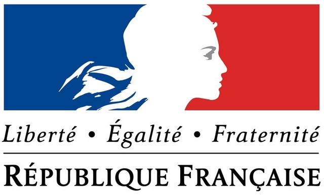 Francia-La constitución francesa