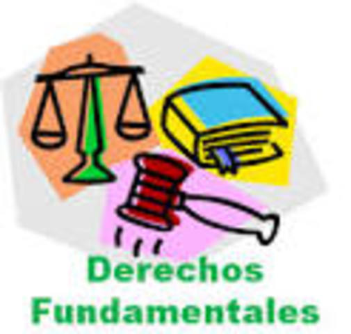 Defensa de los derechos fundamentales