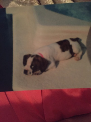 New Memeber of the Family