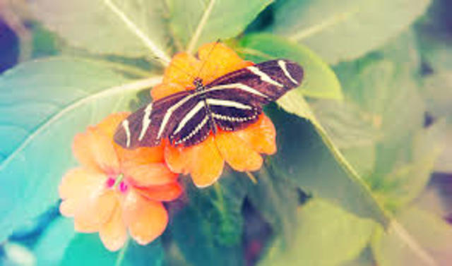 Term 2-3 Reading Goals