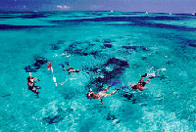 Shenanigans with Sharks