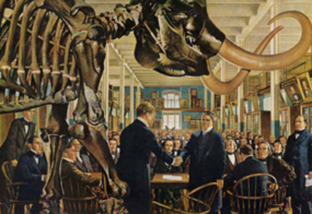 American Medical Association