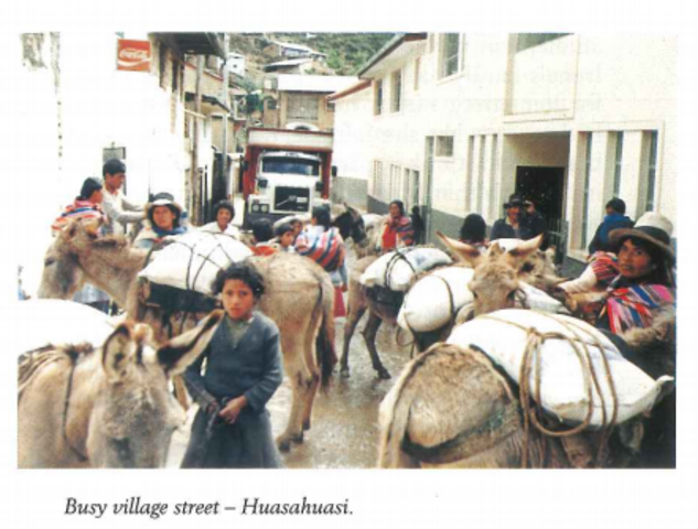 Sister Irene began her career