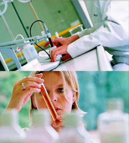 Industria Textil de lana