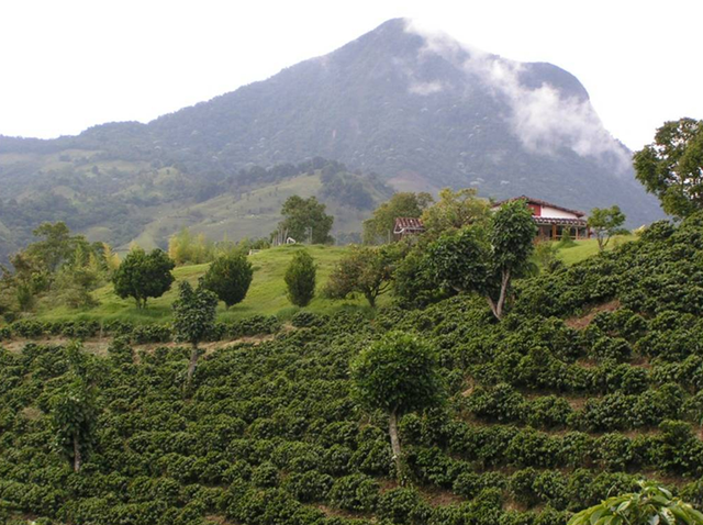 Ultimo viaje a el campo