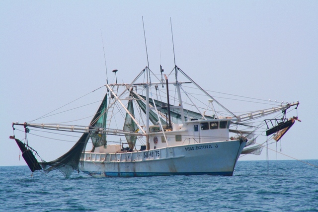 started working on a shrimp boat