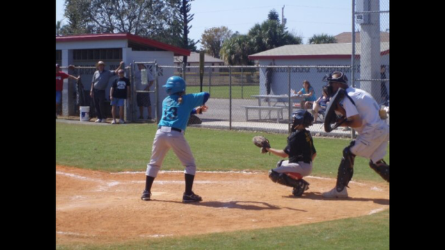 Pine Island Little League Baseball