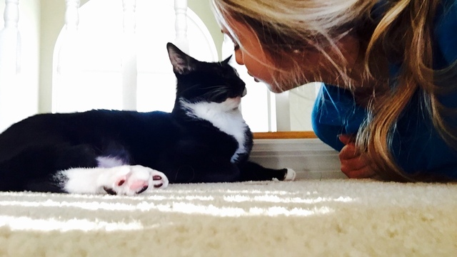 Became a mom (to my kitten, Oliver)