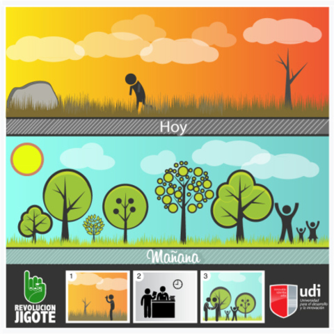 ¡Bosquecitos urbanos en Santa Cruz!