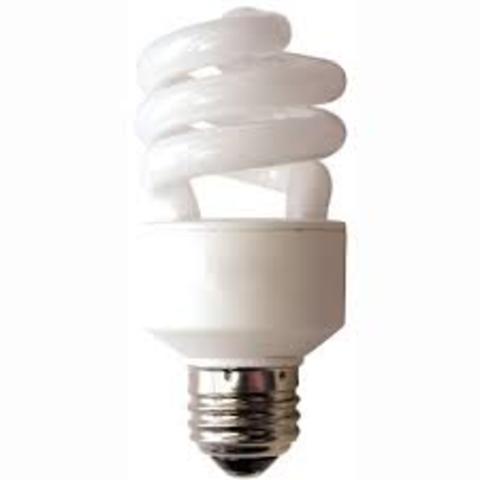 CFL Bulbs