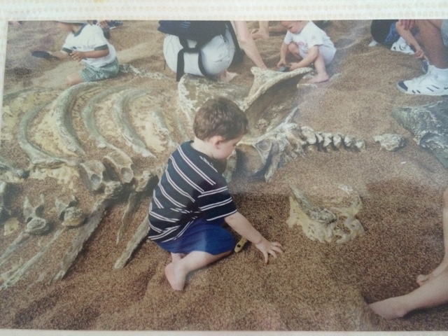 I become an archaeologist