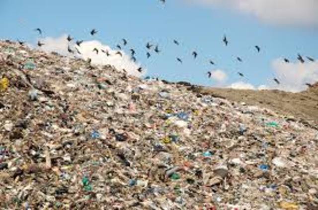 Municipal Solid Waste