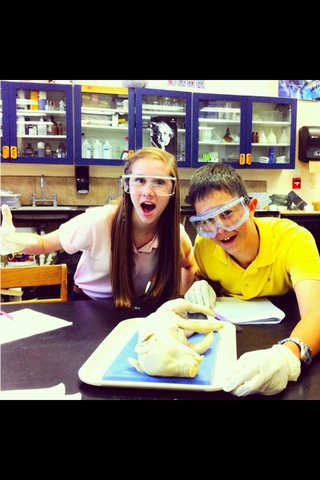 Pig Dissection Days Over