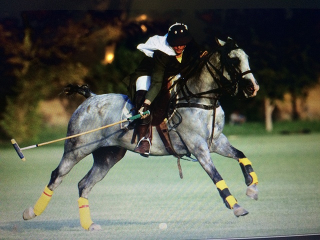 Growing up on a Farm