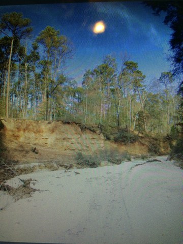 Quicksand at the Hitchcock Woods Creek