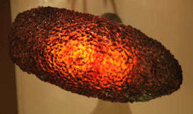 world health organization announces small pox is eradicated