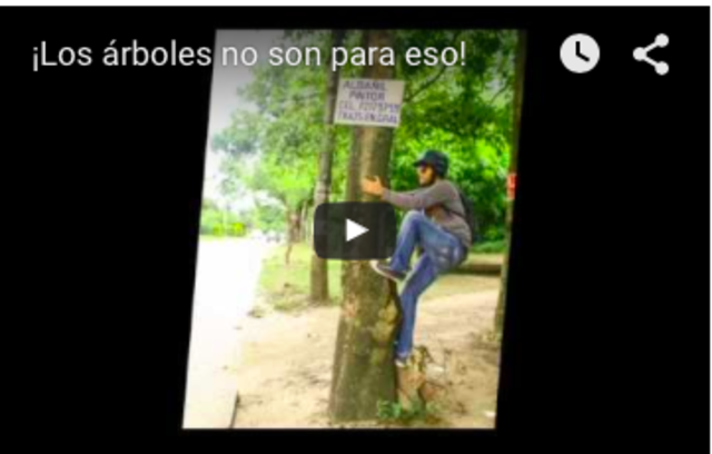 ¡Todos podemos liberar a los árboles urbanos! – Cuidarlos es deber de todos.