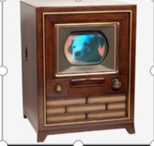 Television