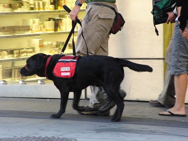 Past and present uses