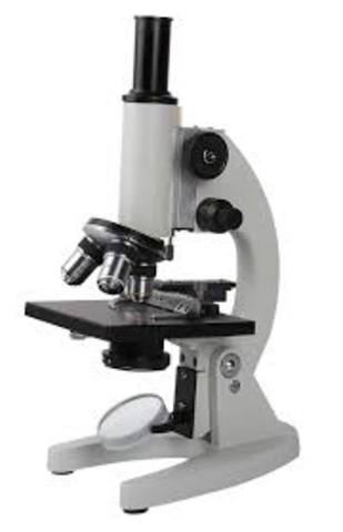 Microscope invented