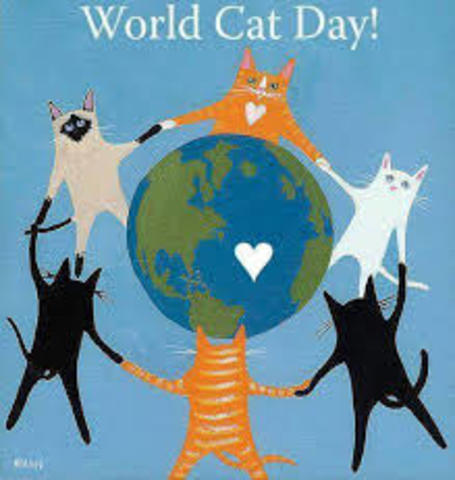 International Cat Day