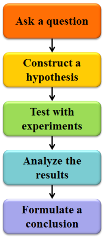 Use of scientific method begins.