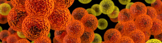 Rhazes discovered difference netween smallpox and measles