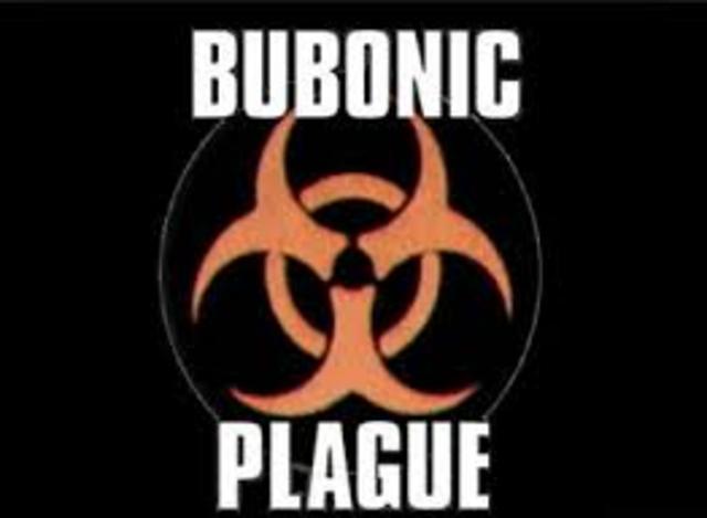 Bubonic Pleague