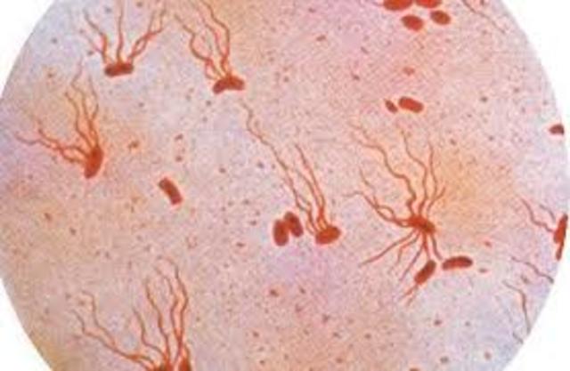 Typhoid first outbreak