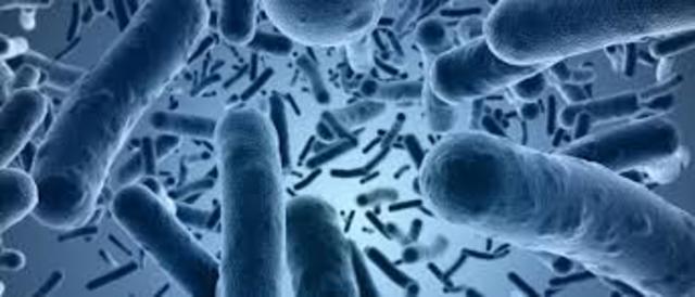 4 major outbreaks of tyhoid disease