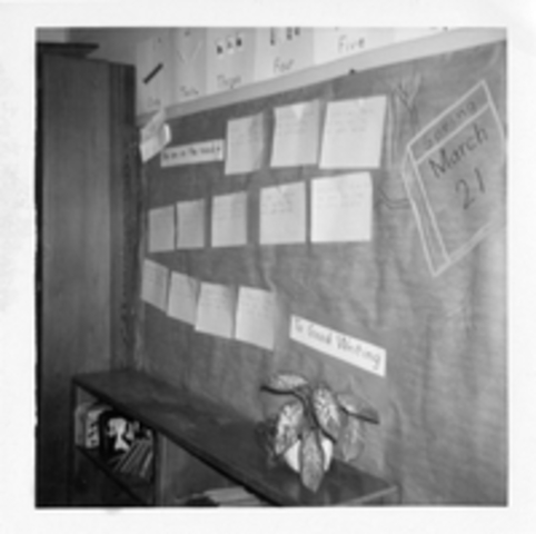 Coral Way Bilingual Elementary School Oral History Project