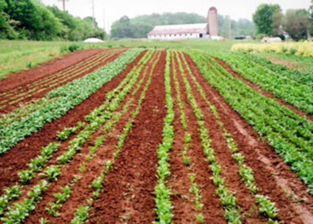 I went to my great-aunt and great-uncle's farm.