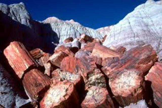 Petrified Forest National Monument