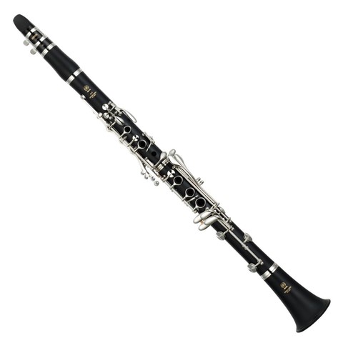 I started Clarinet!
