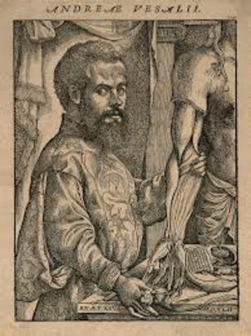 Andreas Vesalius is considered the father of the study of the human body.
