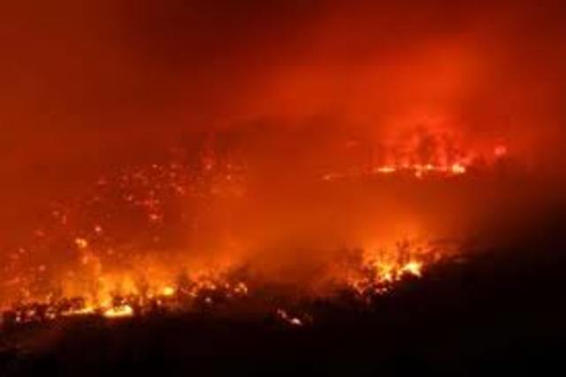 Tasmanian Fire