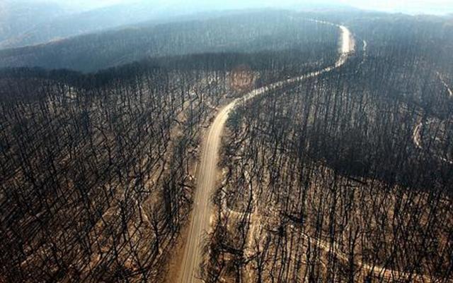 Black Saturday Bushfires