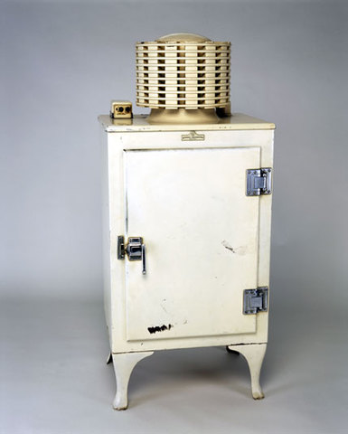 First Refrigerator (Home-Use)