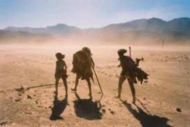 DECRETO DE COLONIZACION