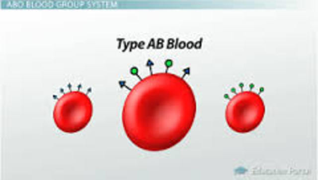 AB blood group discovered