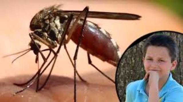 Brian is shocked and all alone