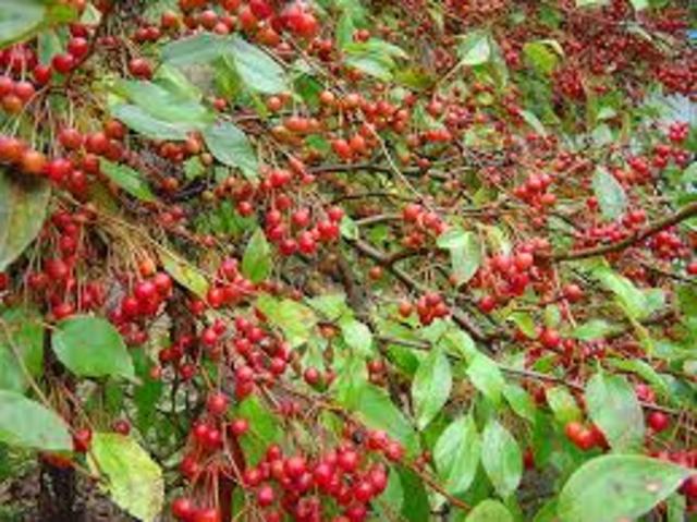 Survival instincts kick in