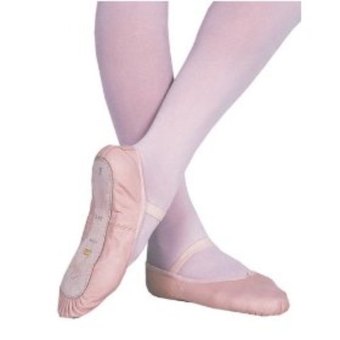 2.3 Evocative Gene Environment Correlation