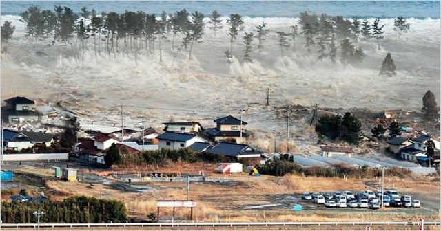 Tohoku Earthquake and Tsunami