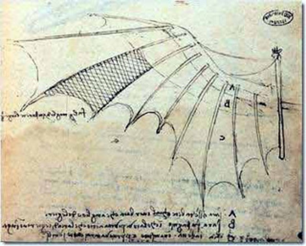 Leonardo Da Vinci Makes Orthinopter