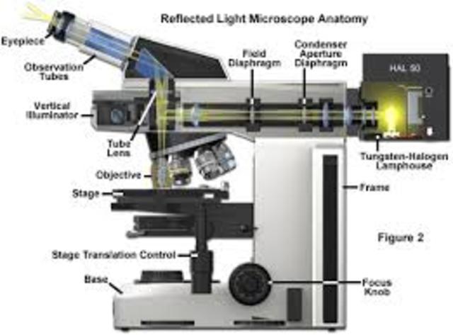 Robert Hooke- reflective microscope