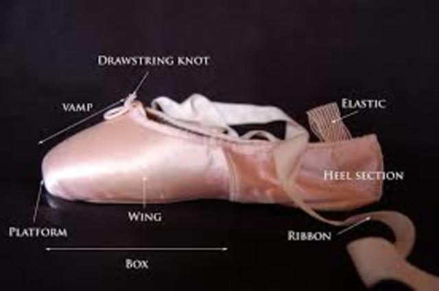 The parts of the Ballet Pointe Shoe