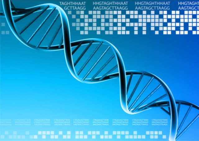 First human genome draft was given to public