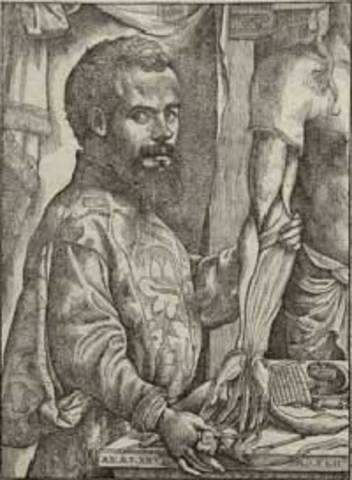 Andreas Vesailus considered father of the study of anatomy
