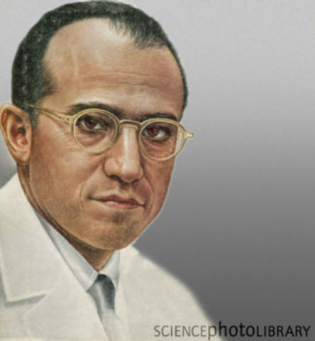 Salk discovers polio vaccine